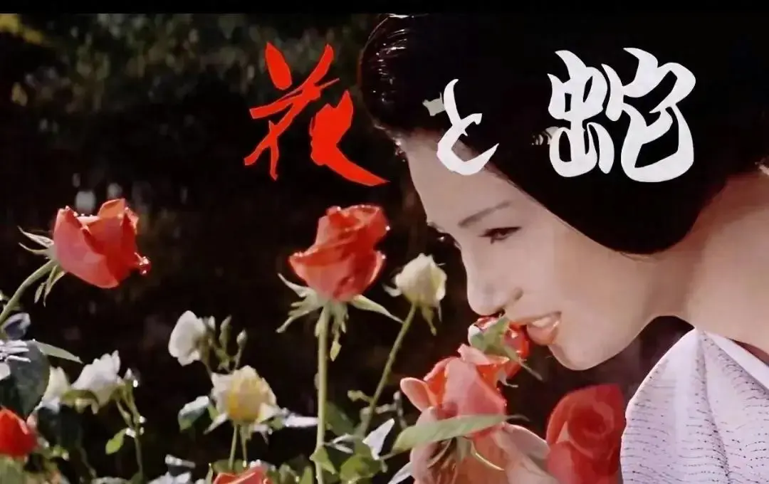 《花与蛇3：白衣绳奴》1080P高清完整版 - 日本剧情片无删减在线看 - 蓝光画质免费无广告