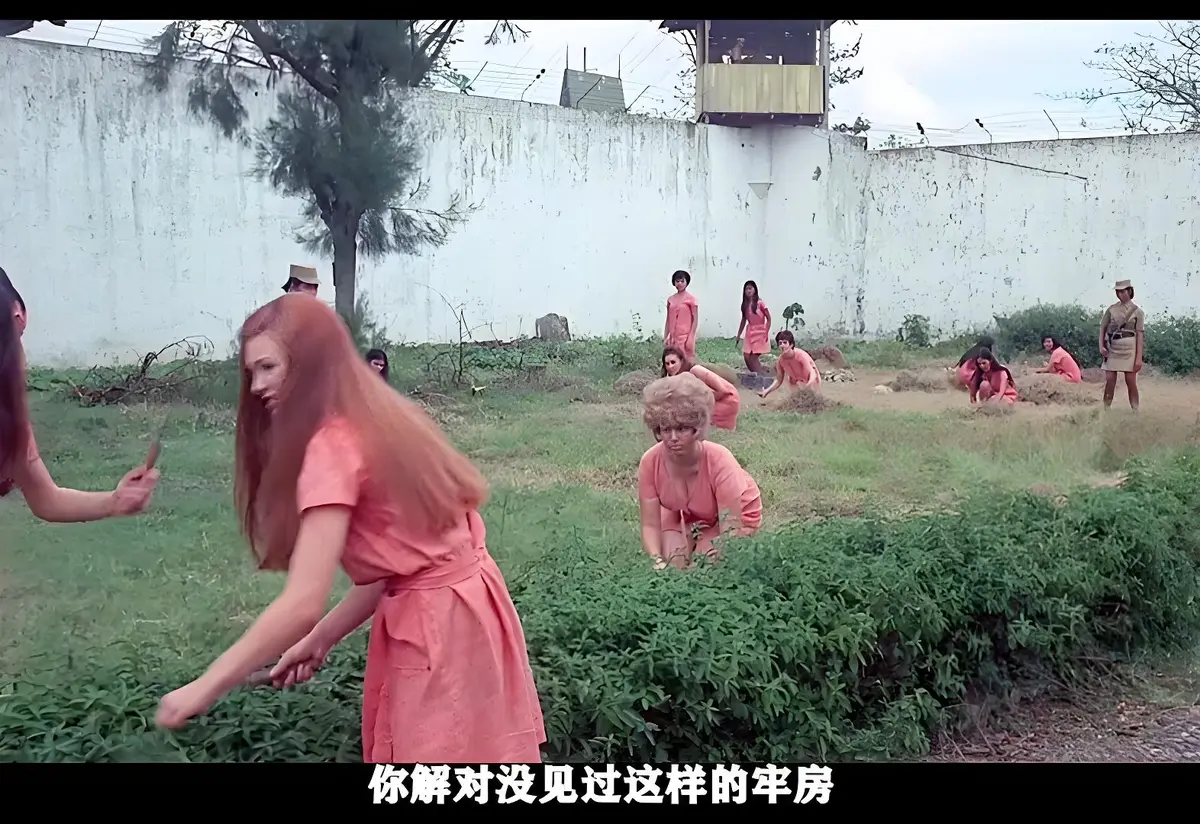 《玩偶屋》美国复古犯罪电影 - 高清修复完整版在线看 - 无删减资源免费获取