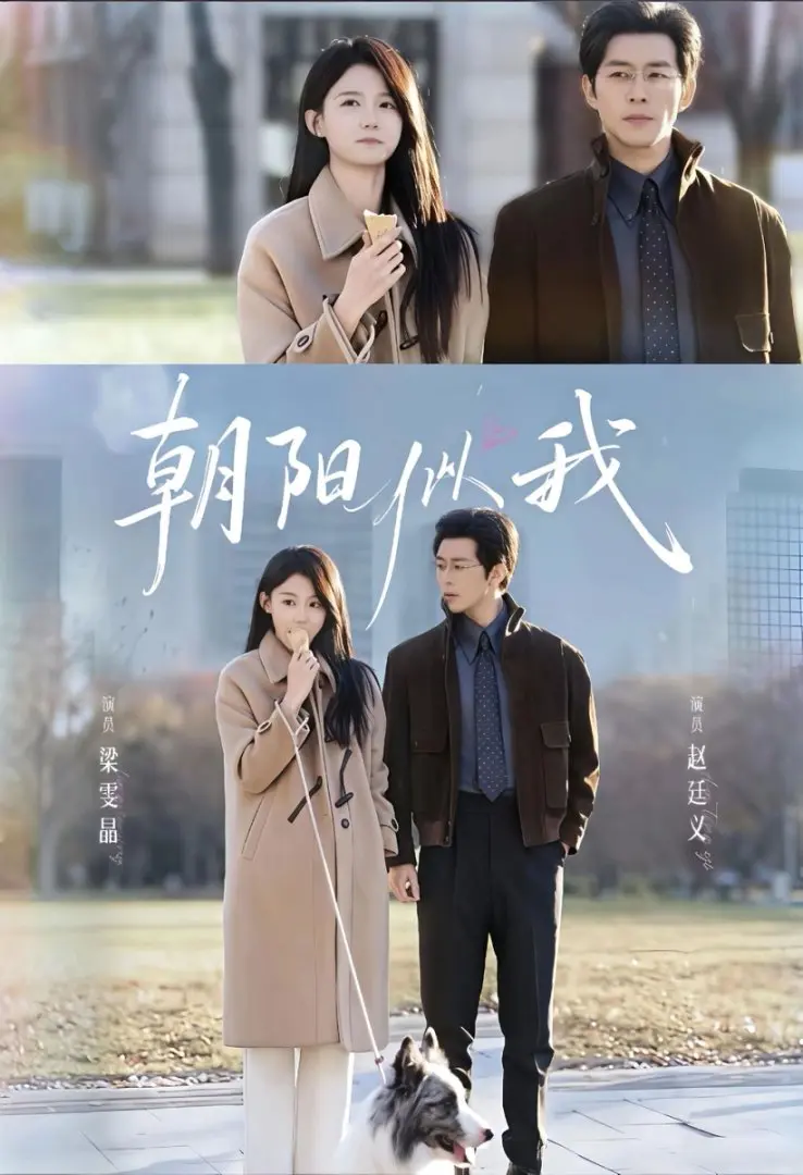 《朝阳似我》全81集完整版 - 免费在线观看无广告 - 百度网盘高清短剧资源下载