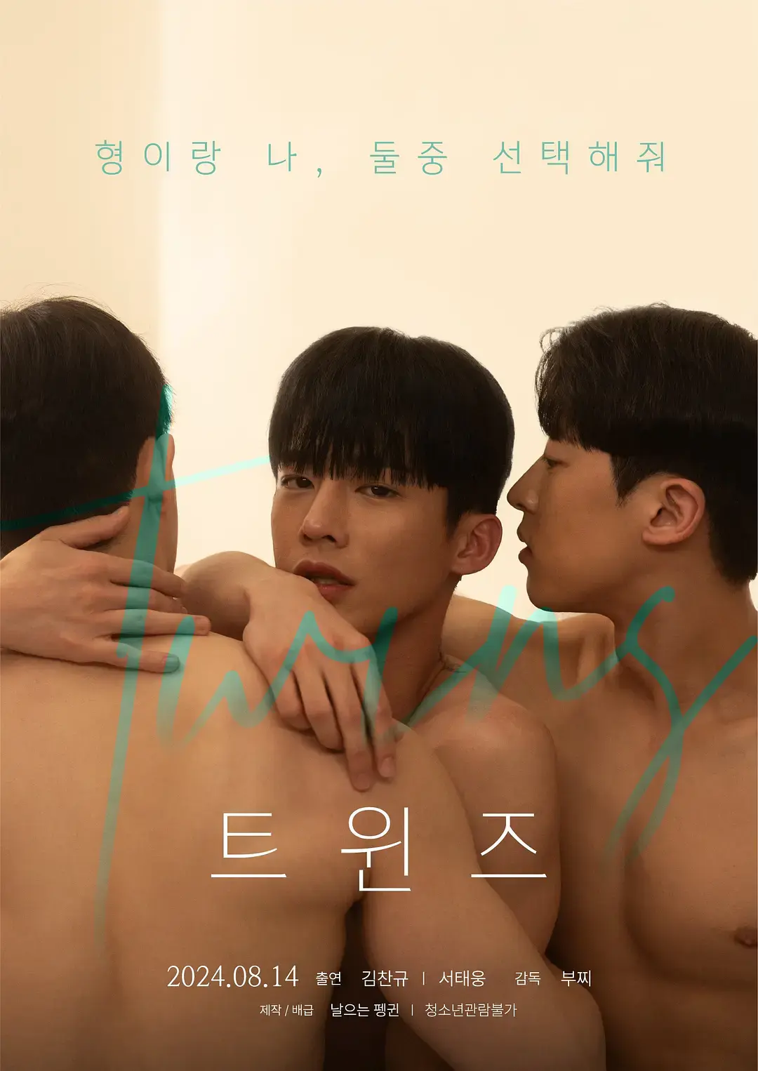 2024韩国电影《双胞胎》高清免费在线观看-双胞胎兄弟悬疑故事-完整版HD画质播放-支持手机电脑观看