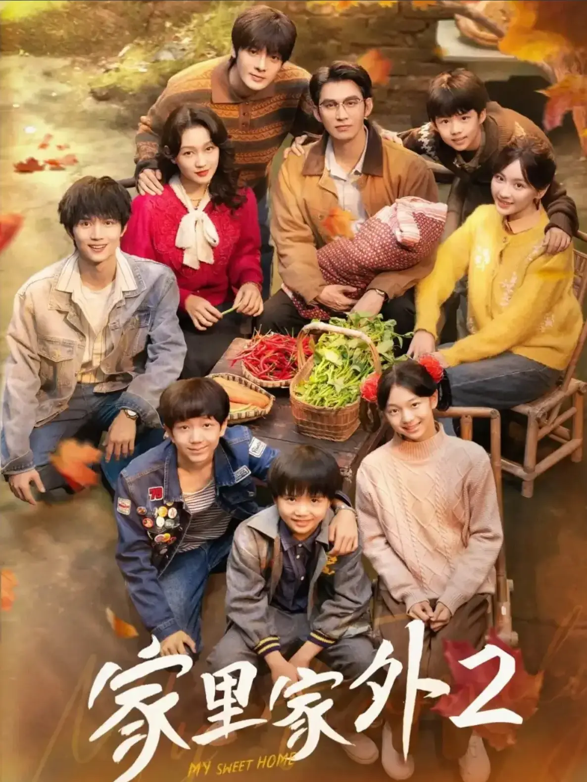 《家里家外2》全季完整版 - 国产短剧免费在线观看 - 1080P高清无删减资源