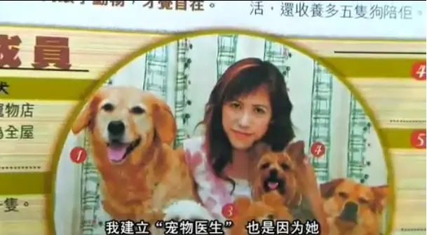 《女人与狗》欧美电影1080P高清全集-免费在线观看《女人与狗》未删减版-无广告资源下载-网盘观看中文版