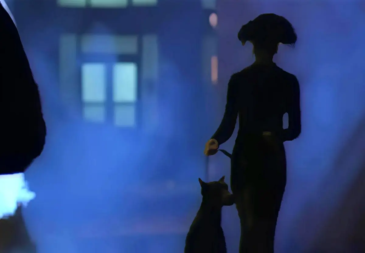 《遛狗者/dogwalker》无删减超清完整版 - 意大利电影中字在线播放 - 手机电脑均可看