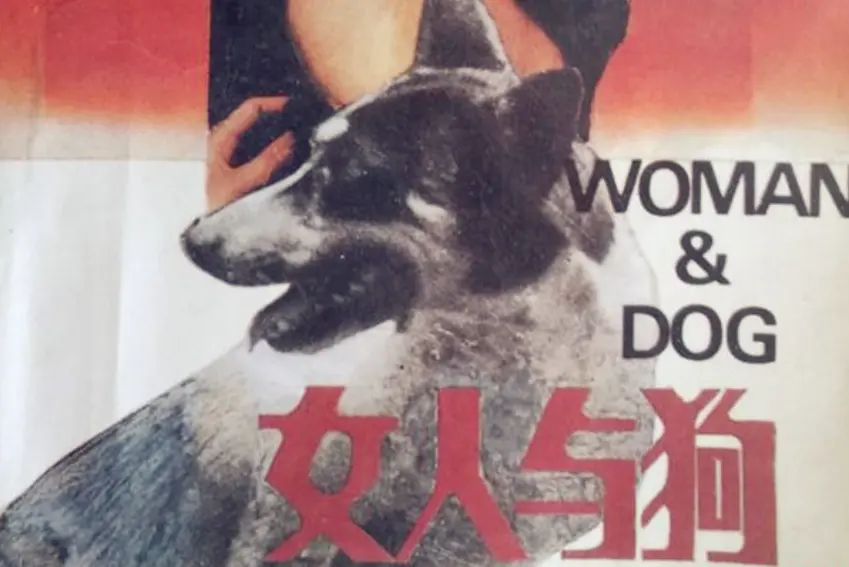 《女人与狗》俄罗斯电影全集免费观看-《女人与狗》HD高清完整版在线播放-无删减版资源下载