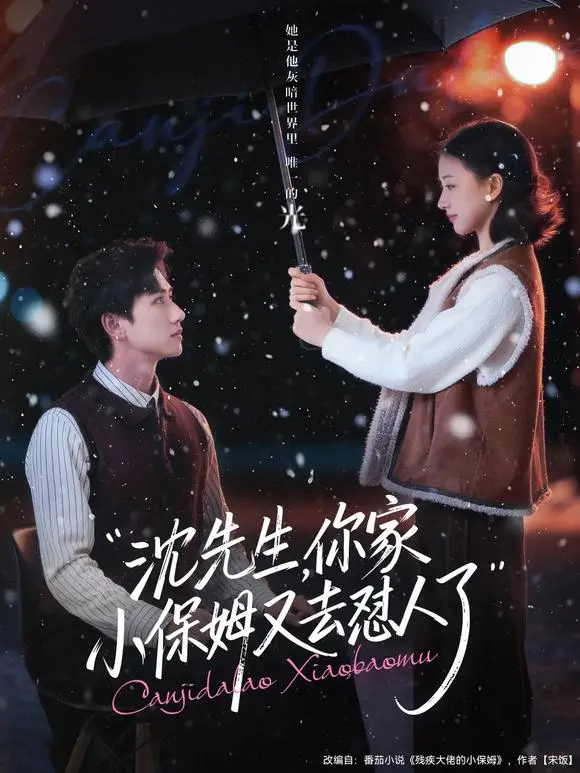 《沈先生,你家小保姆又去怼人了》相关资源图片