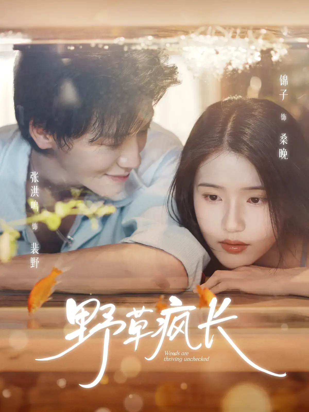 《野草疯长》全季高清无删减 - 新番短剧免费在线播放 - 迅雷夸克网盘资源下载