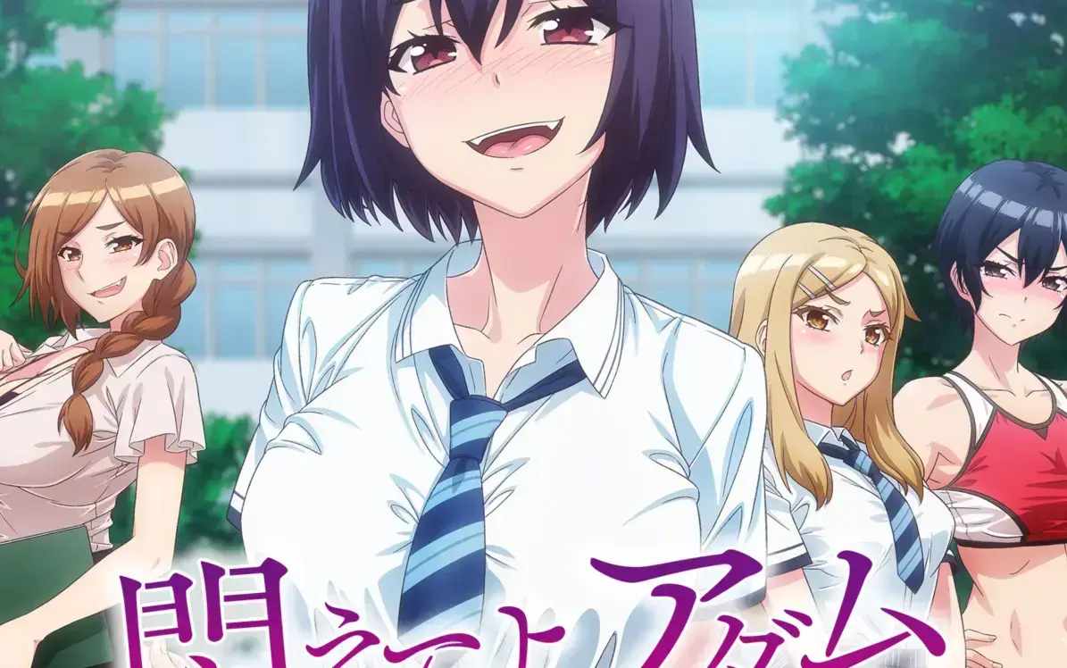 《挣扎吧亚当君》1-12集完整版免费观看 - 高清中字无广告 - 网盘资源下载