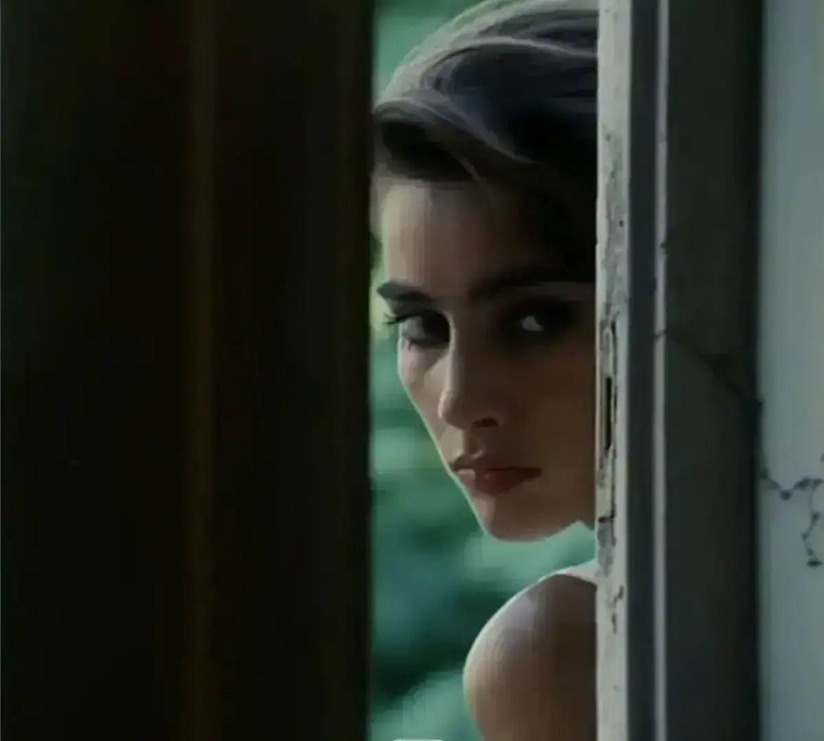 《激情丛林》高清全集免费看 - 意大利冒险电影未删减版 - 网盘资源在线播放无广告