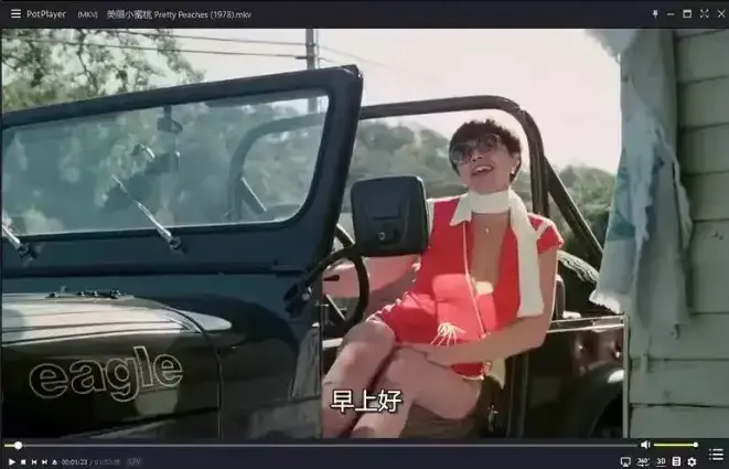 《美丽小蜜桃》未删减版在线观看-高清中字完整版免费播放-1978年复古喜剧电影《美丽小蜜桃》