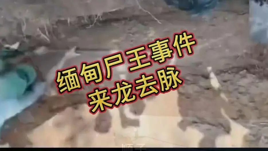 缅甸僵尸出土事件视频在线观看免费播放 - 诡异真相解密超清未删减完整版资源下载