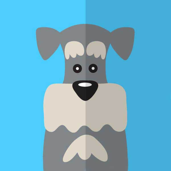 最新《男男钙片》1080P超清画质-男男钙片完整视频在线看-网友热议：这段太刺激了！(高清无码版)