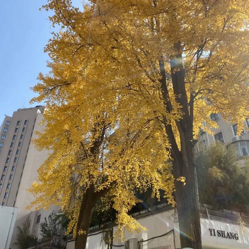 《婚婚逢她》相关资源图片