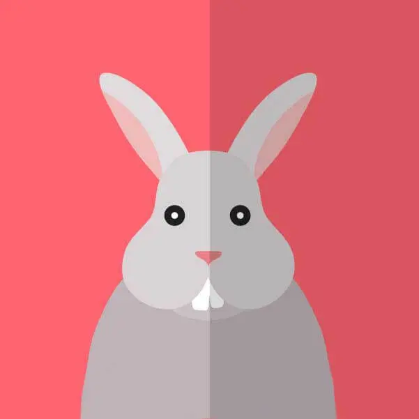 2025最新韩剧《性课程》高清完整版在线观看-性课程全集免费播放-1080P高清画质无广告